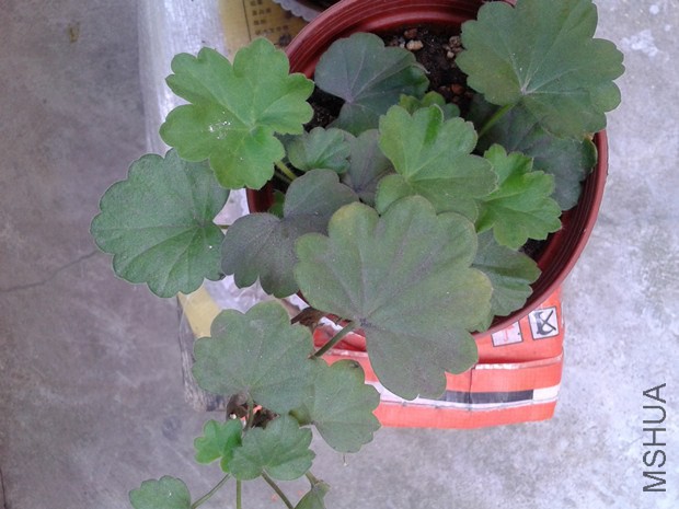 2014-10-05 09.52.24_����.jpg