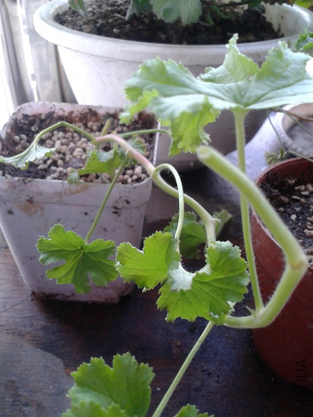 2014-10-09 13.54.28_����.jpg