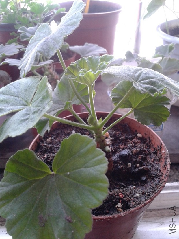 2014-10-18 11.33.12_����.jpg