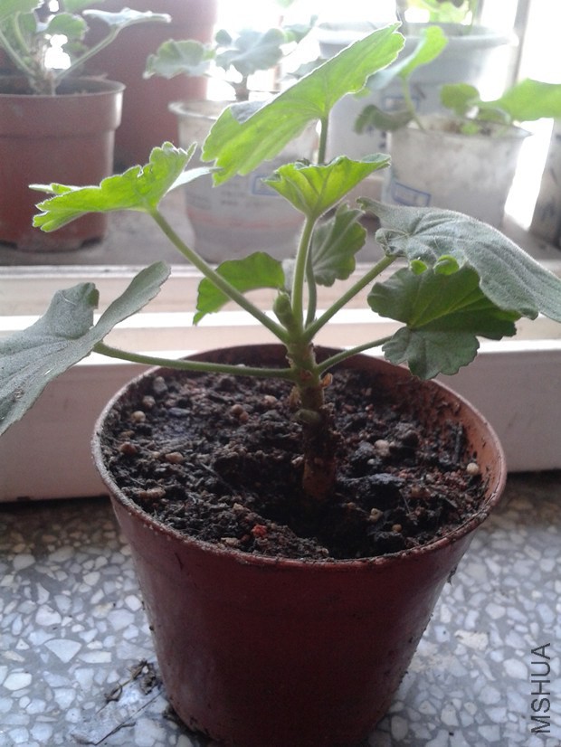 2014-10-18 11.32.48_����.jpg