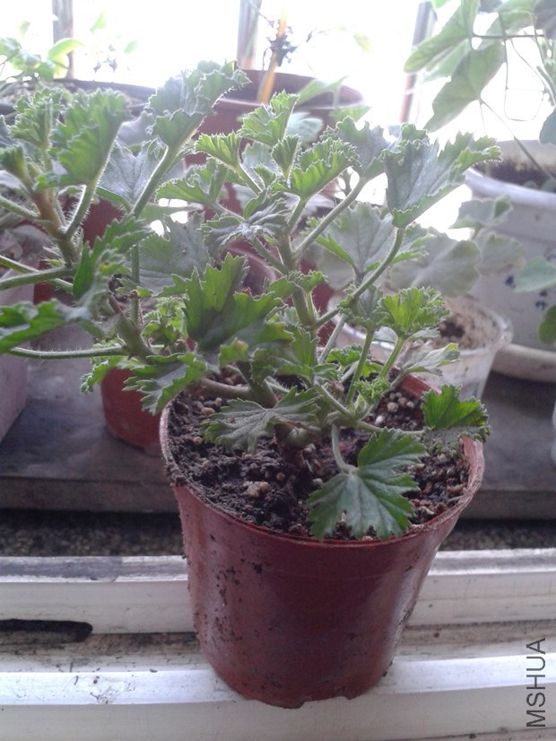 2014-10-18 11.33.37_����.jpg