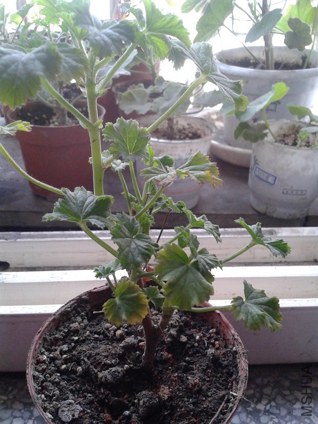 2014-10-18 11.34.06_����.jpg