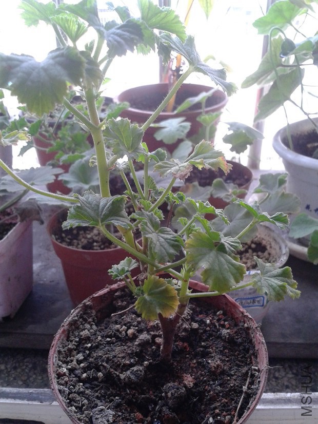 2014-10-18 11.34.16_����.jpg