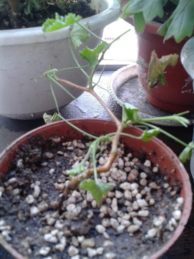 2014-10-09 13.54.33_����.jpg