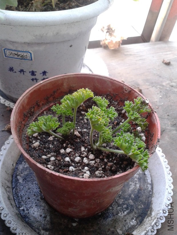 2014-10-09 13.54.47_����.jpg