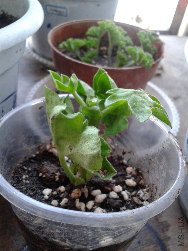 2014-10-09 13.54.39_����.jpg