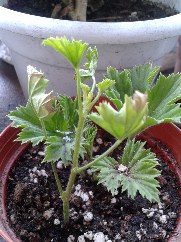 2014-10-09 13.54.43_����.jpg