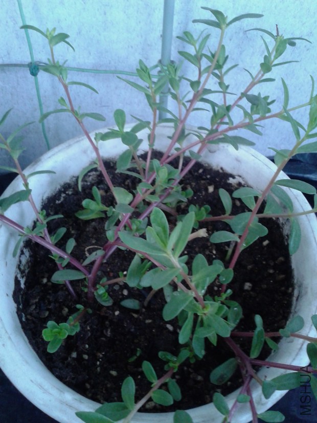 2014-10-14 17.22.14_����.jpg