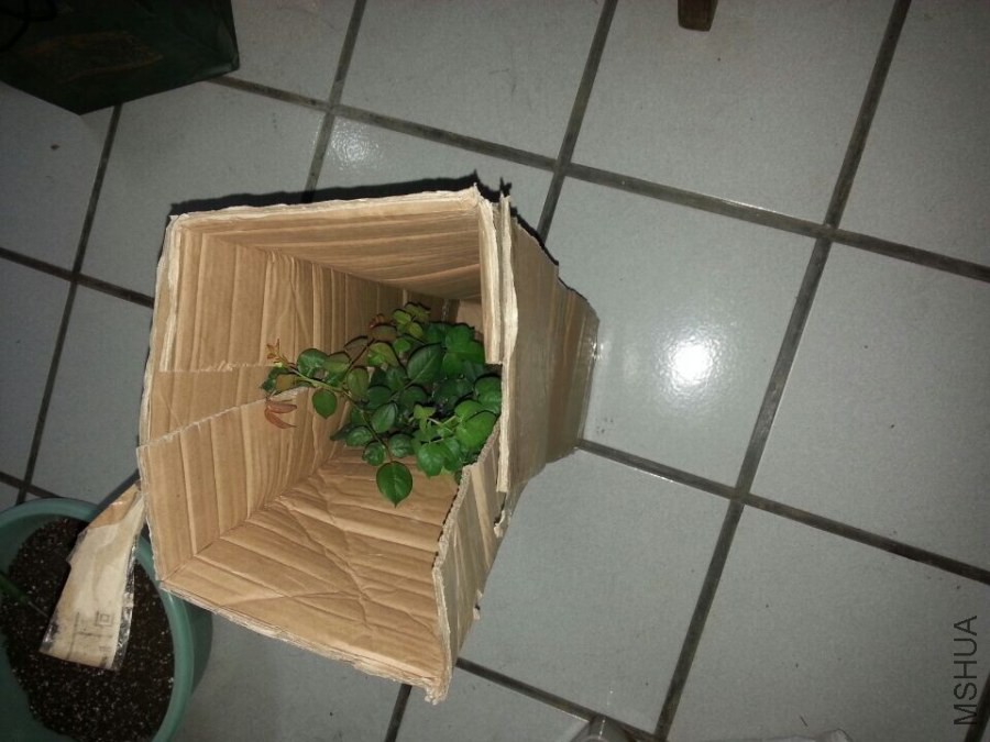 QQͼƬ20141018151902.jpg