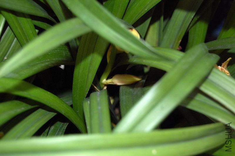 DSC_00100010.JPG