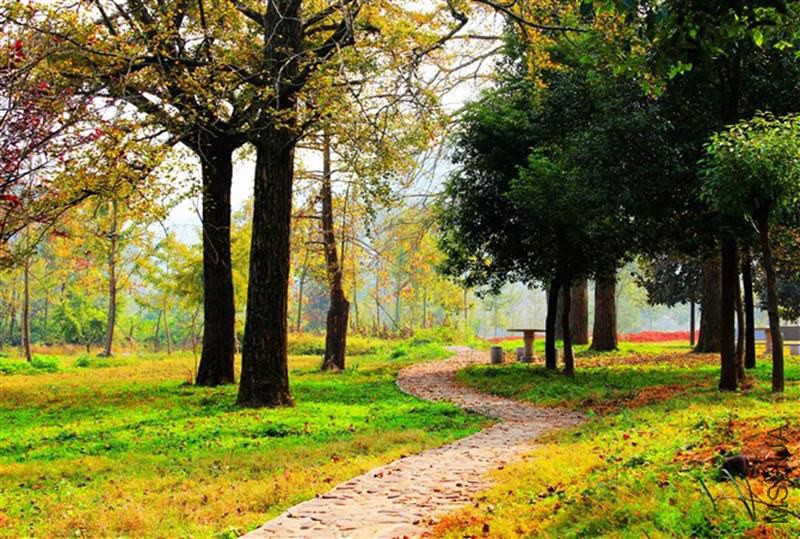 psb (1454)_����.jpg