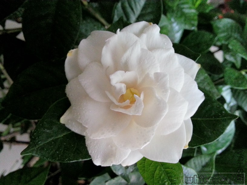 20130601_163911.jpg