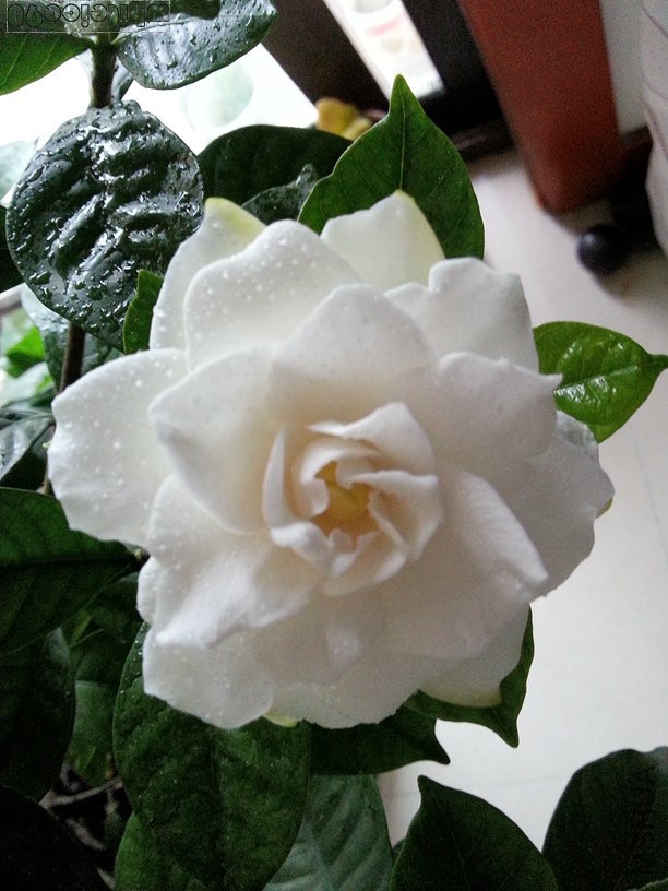 20130601_164120.jpg