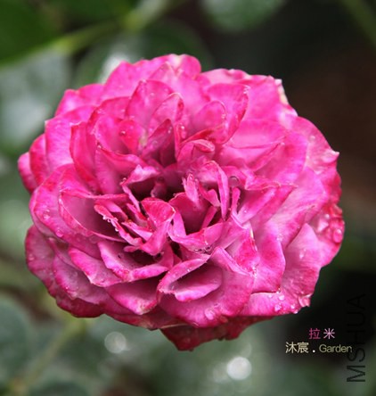 ����-33.jpg