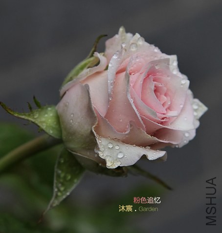 ��ɫ׷��-11.jpg