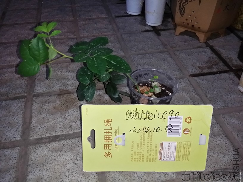 20141018_224425.jpg