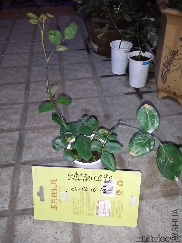 20141018_224455.jpg