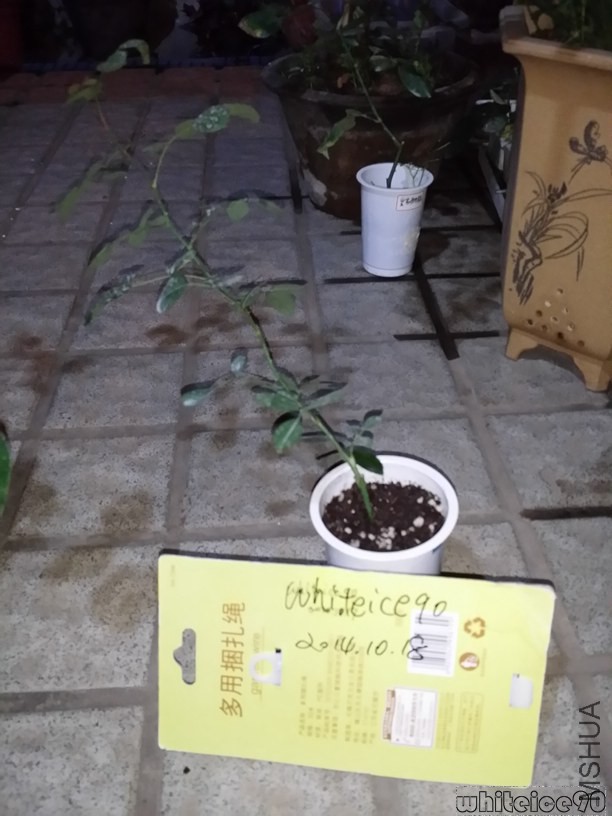 20141018_224543.jpg