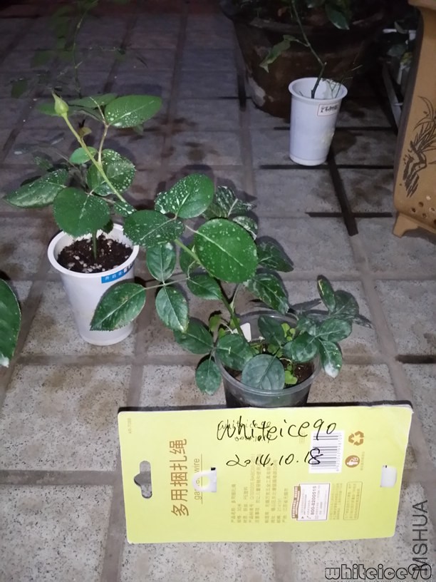 20141018_224607.jpg