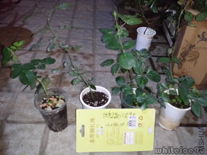 20141018_224637.jpg