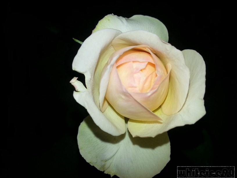 20140605_200109.jpg