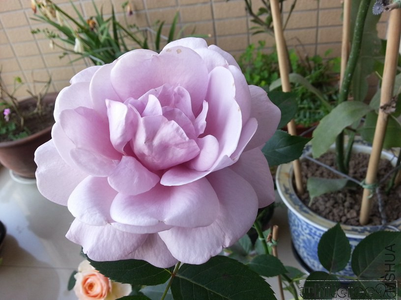 20140502_070609.jpg