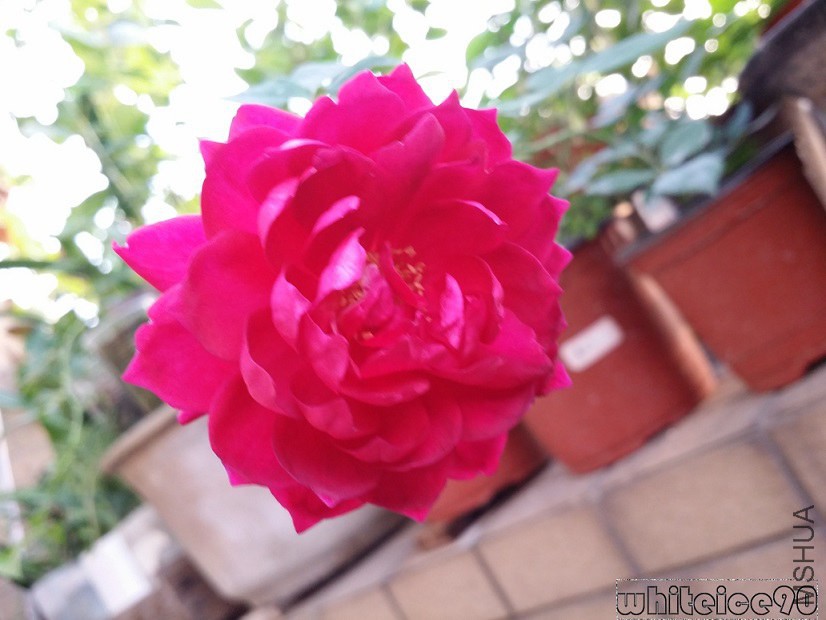20140822_172546.jpg