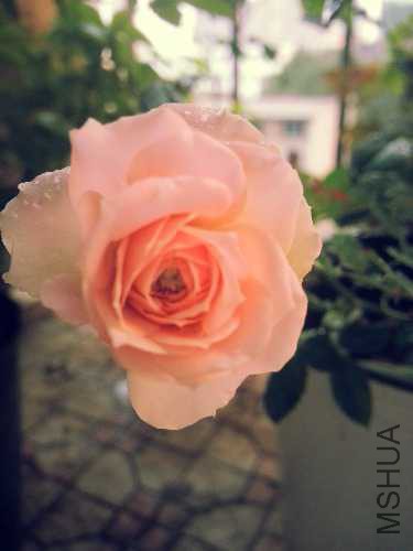 20141019_173304.jpg