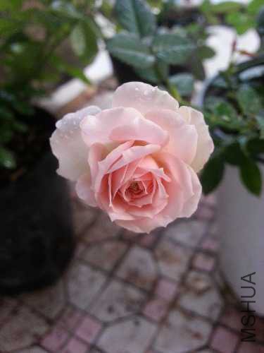 20141019_173242.jpg