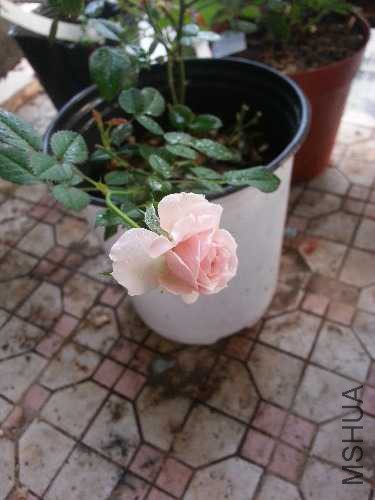 20141019_173211.jpg
