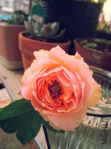 20141019_172327.jpg