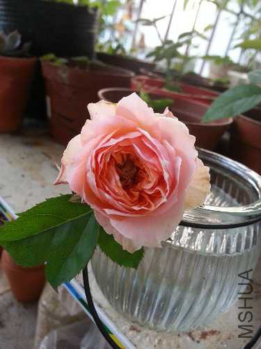 20141019_172239.jpg