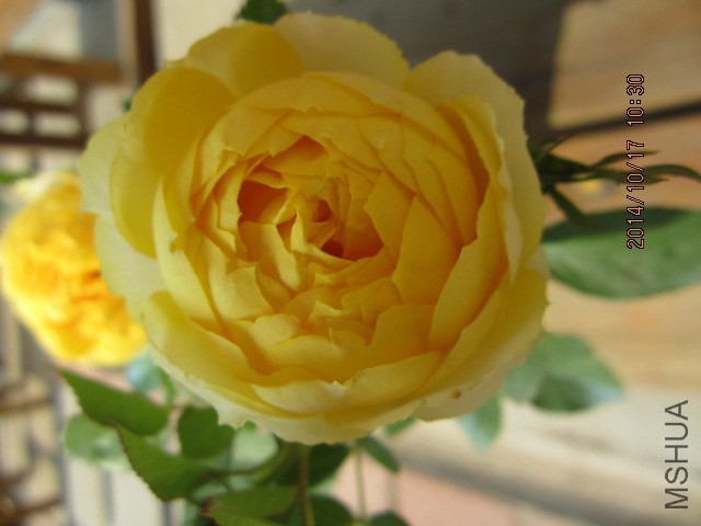 IMG_5053.JPG
