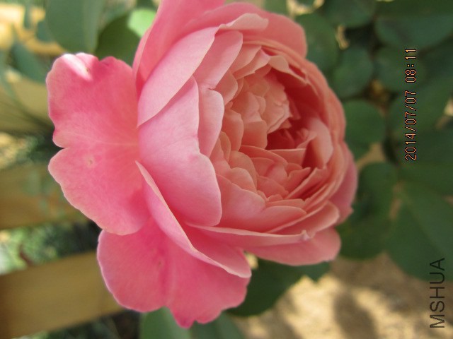 IMG_3541.JPG
