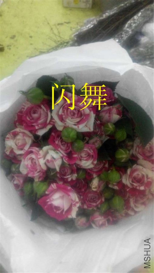 QQͼƬ20141019184724_����.jpg