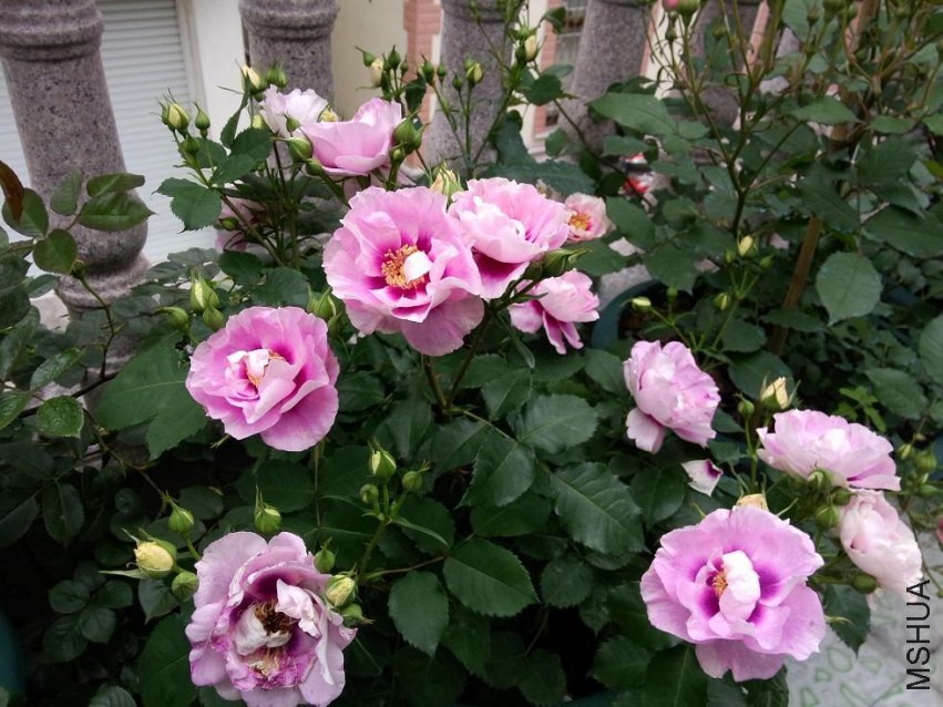 IMG20140428165847.jpg