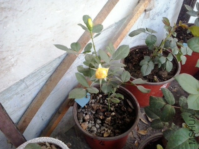 20141016_071924.jpg