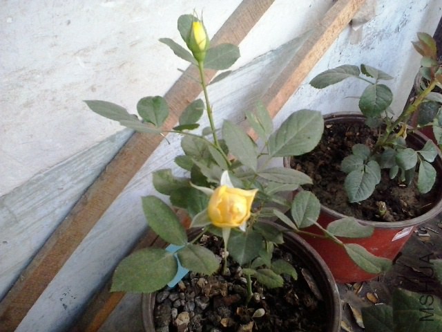20141016_071927.jpg
