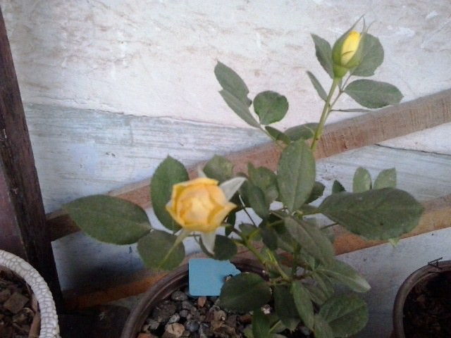 20141016_071943.jpg