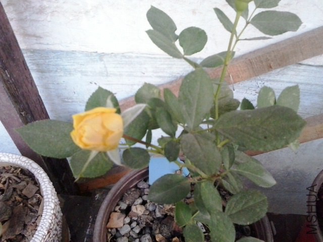 20141016_071938.jpg