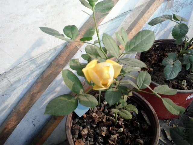 20141017_082005.jpg