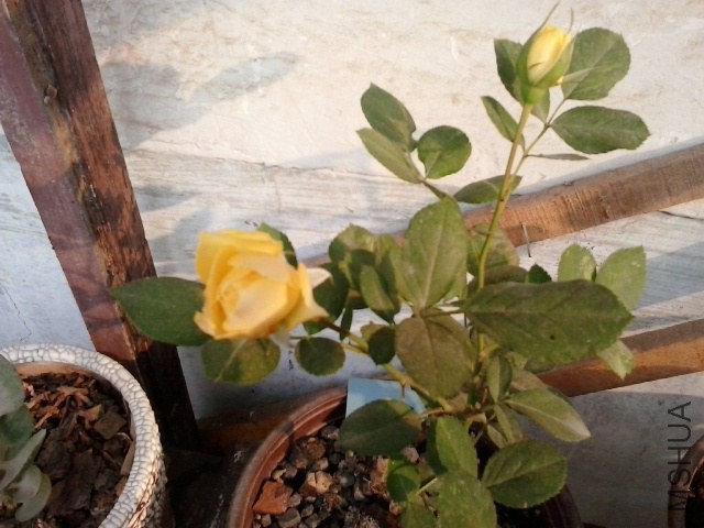 20141017_082032.jpg