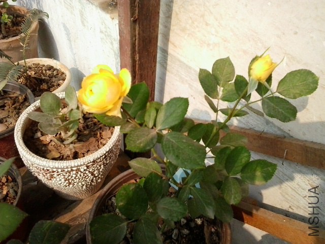20141018_112636.jpg