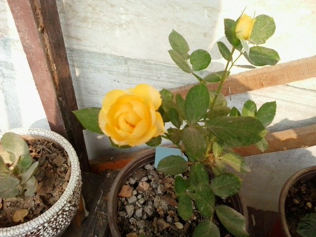20141018_112630.jpg