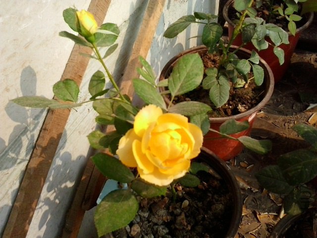 20141018_112644.jpg