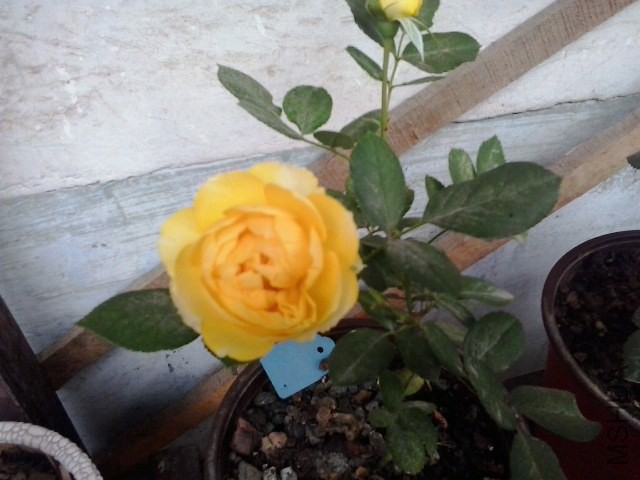 20141019_121627.jpg