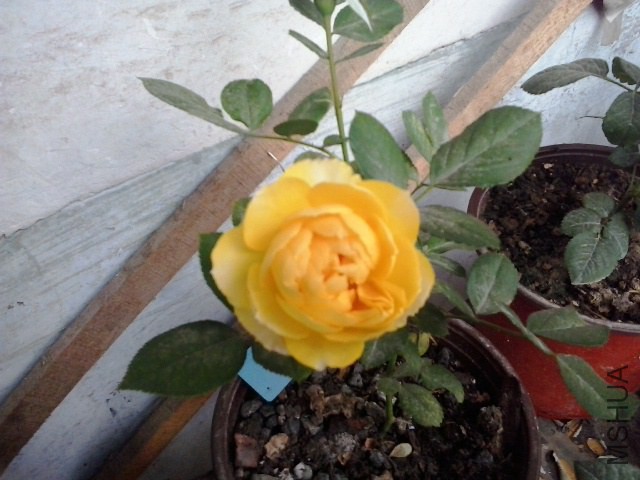 20141019_121635.jpg