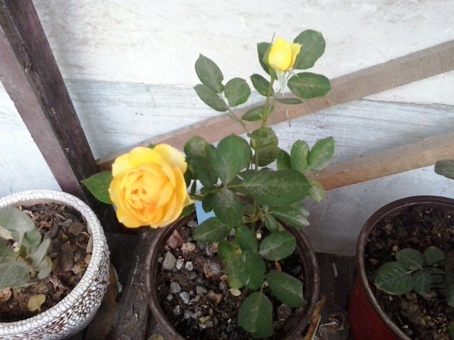20141019_121643.jpg