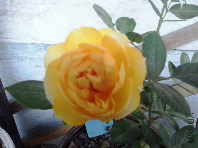 20141019_121650.jpg