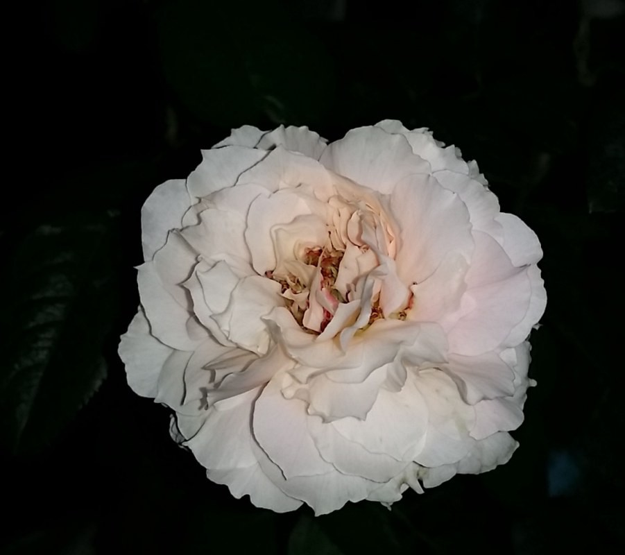 20141019_185955.jpg